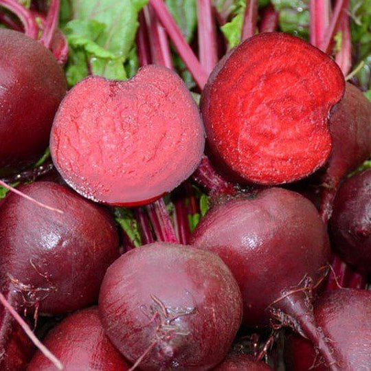 Lutz Green Leaf Beet Seeds 