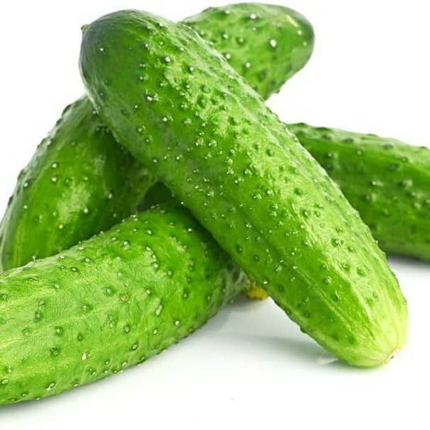 Lyalyuk Little Mini Pickling Cucumber Seeds - Vegetable Plant