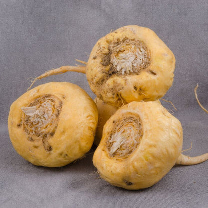 Maca Seeds - Heirloom Vegetable Plant for Home Gardens