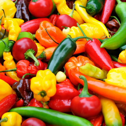 Malagueta Pepper Seeds - Vegetable Plant