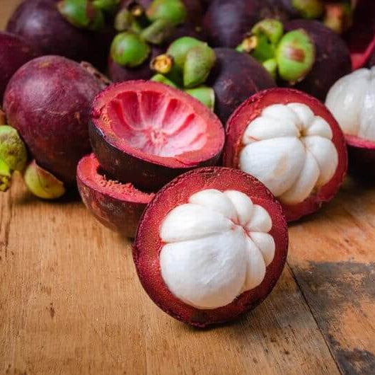 Mangosteen Seeds