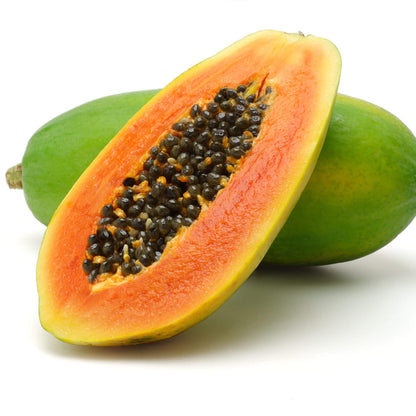 Maradol Large Sweet Papaya Seeds