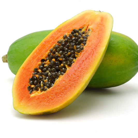 Maradol Large Sweet Papaya Seeds