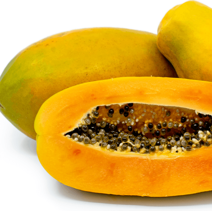 Maradol Mexican Papaya Seeds