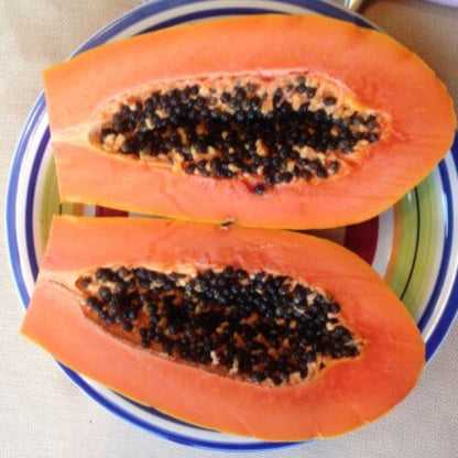 Maradol Mexican Papaya Seeds