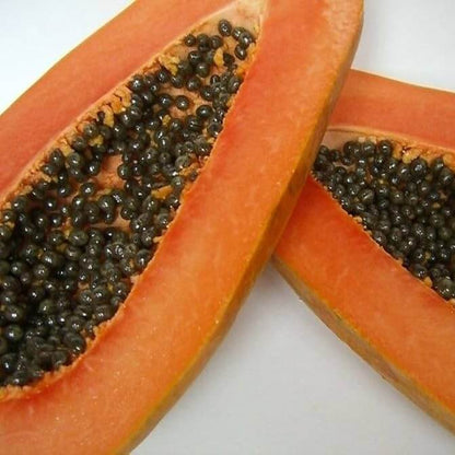Maradol Mexican Papaya Seeds