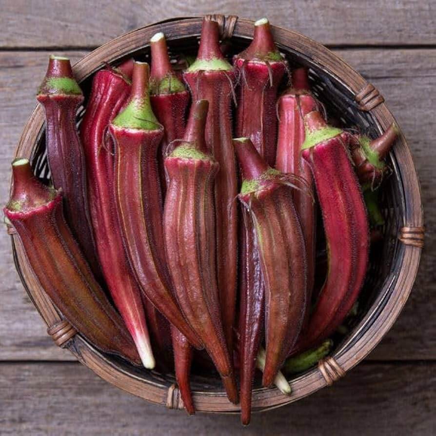 Maroon Red Okra Seeds