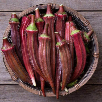 Maroon Red Okra Seeds