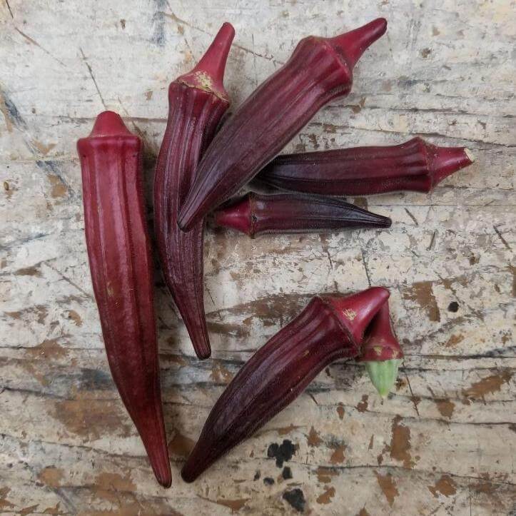 Maroon Red Okra Seeds