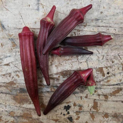 Maroon Red Okra Seeds