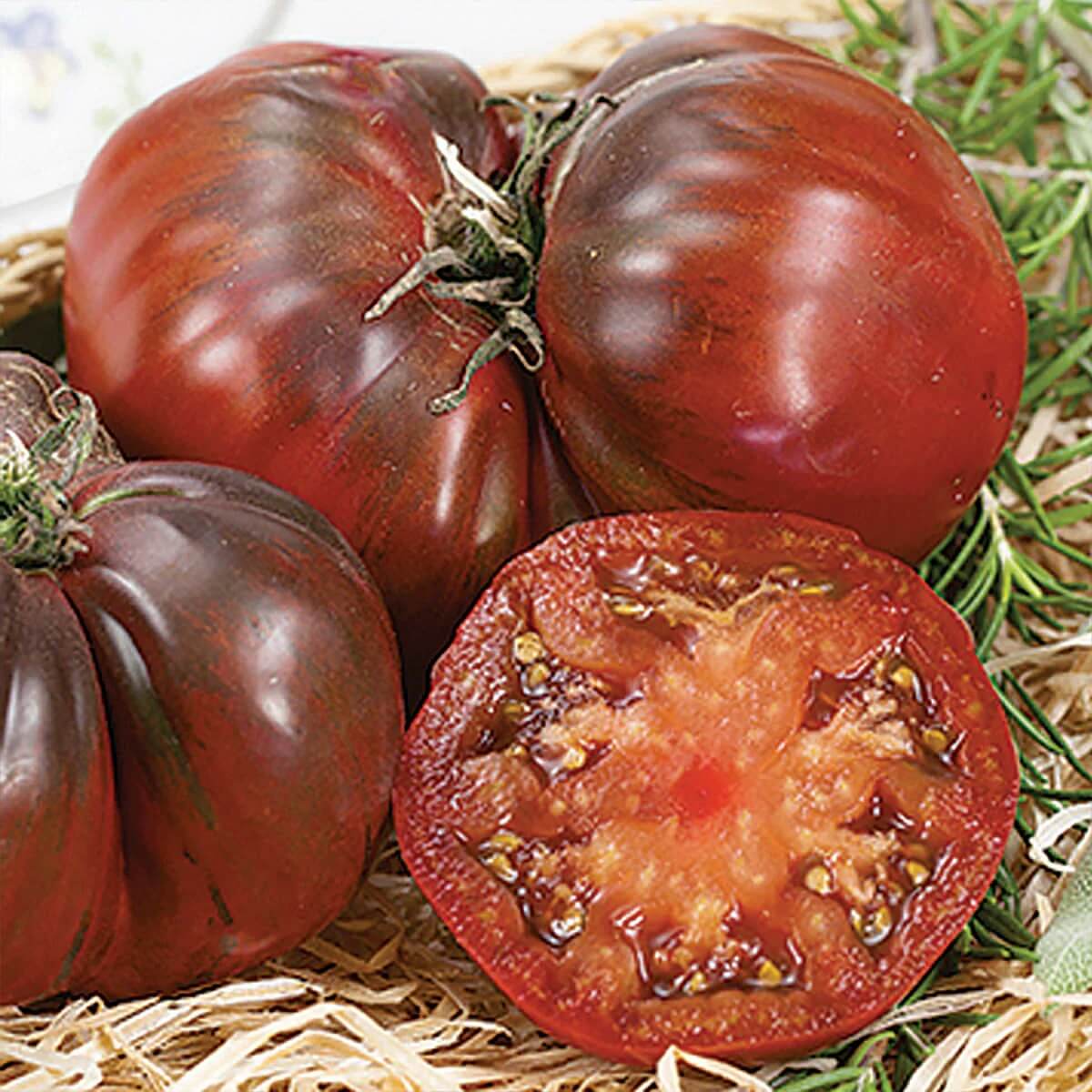 Maroon Tomato Seeds 