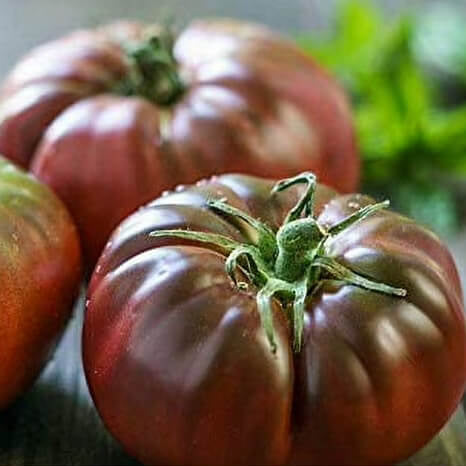 Maroon Tomato Seeds 