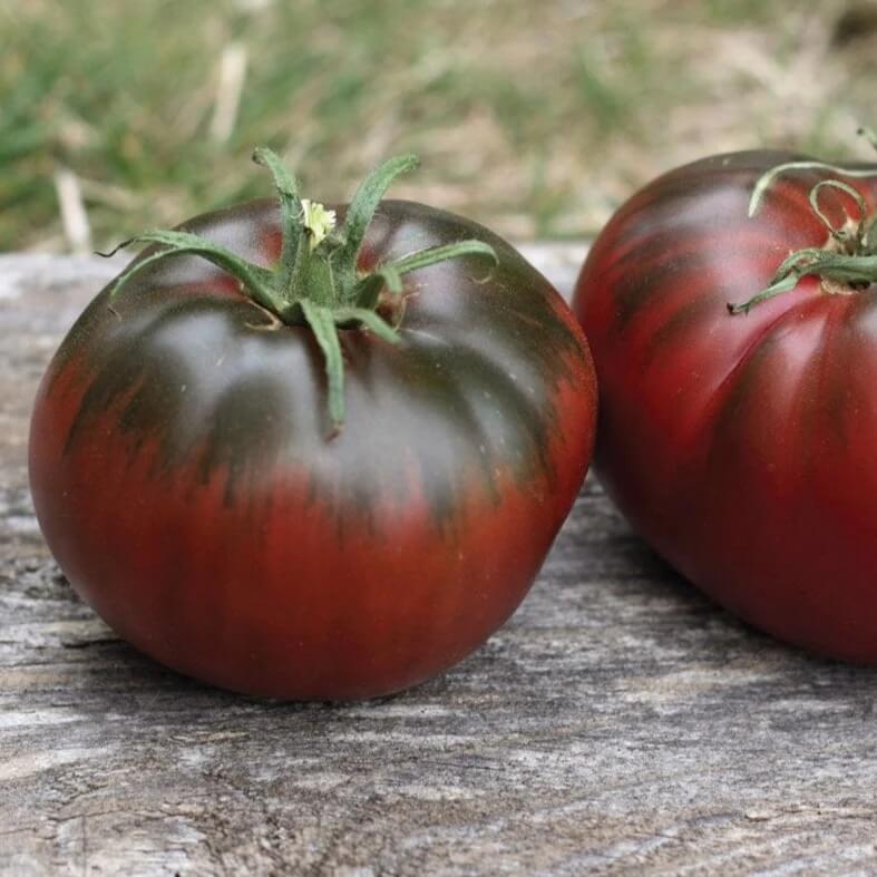 Maroon Tomato Seeds 