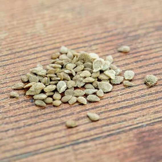 Marron Green Tomato Seeds