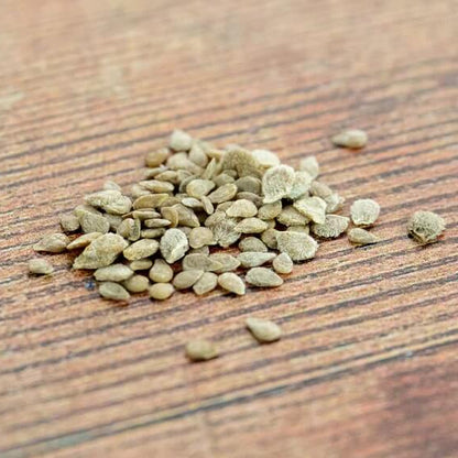 Marron Green Tomato Seeds