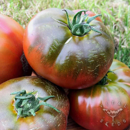 Marron Green Tomato Seeds