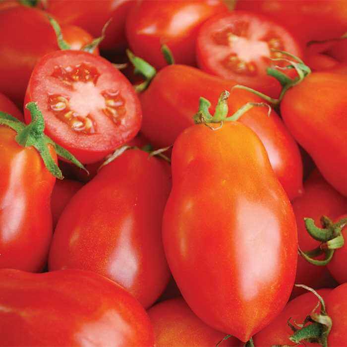 Martino's Roma Tomato Seeds - Heirloom Vegetable Plant for Home Gardens