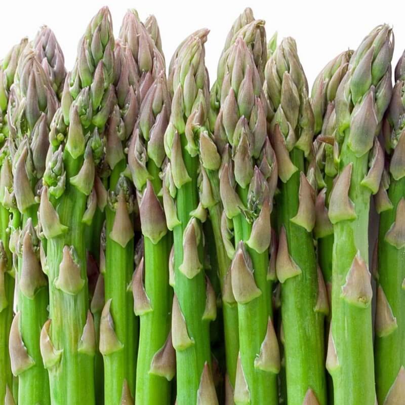 Mary washington asparagus seeds - Vegetable Plant