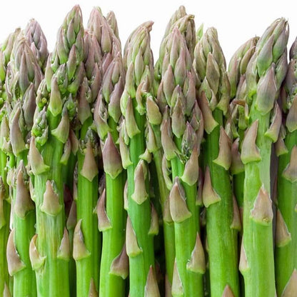 Mary washington asparagus seeds - Vegetable Plant