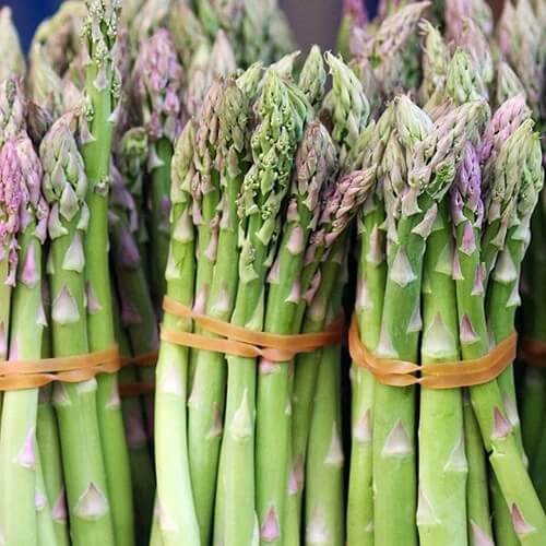Mary washington asparagus seeds - Vegetable Plant