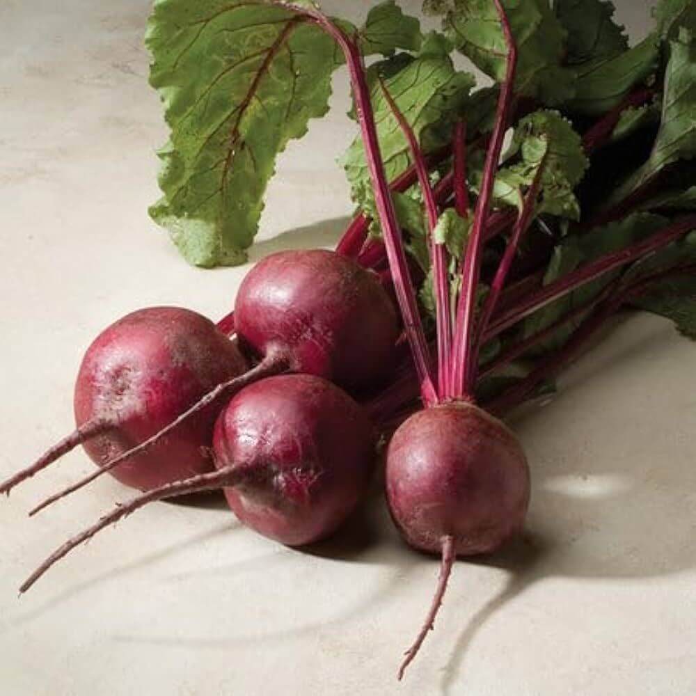Merlin Beet Seeds 