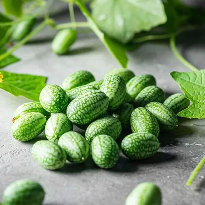 Mexican Sour Gherkin Seeds