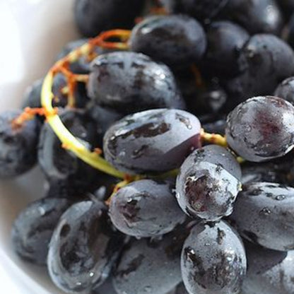 Midnight Beauty Grape Seeds