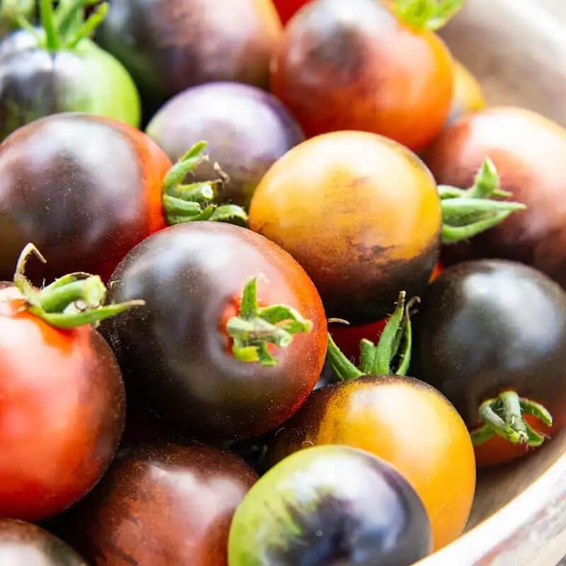 Midnight Snack Tomato Seeds - Vegetable Plant