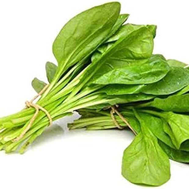 Millet Seeds - Vegetable Plant for Home Gardens