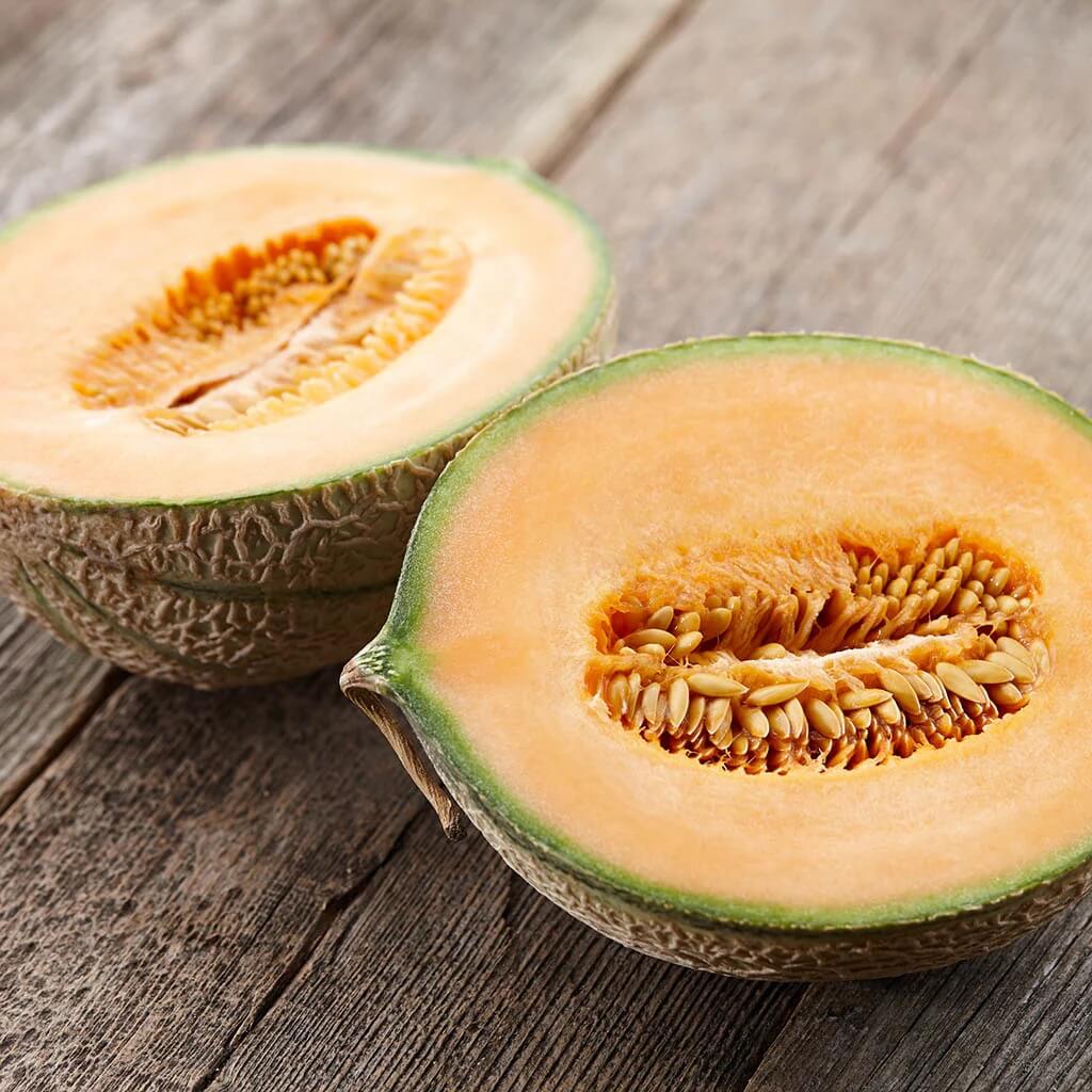 Minnesota Melon Seeds