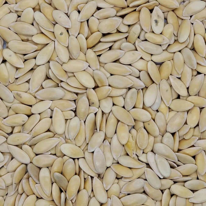 Minnesota Melon Seeds
