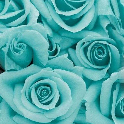 Mint Green Rose Seeds - Flower Plant