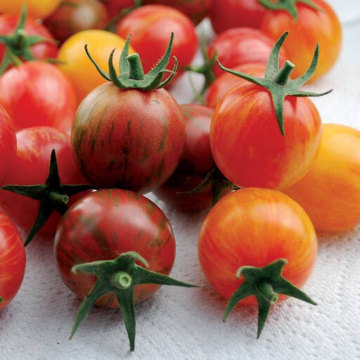 Mixed Cherry Tomato Seeds