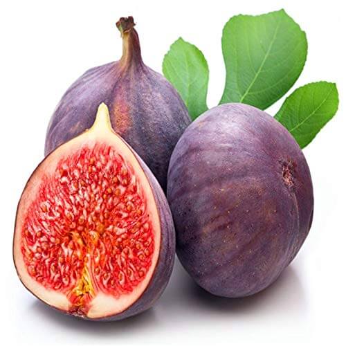 Mixed Fig Seeds - Fruit Plant