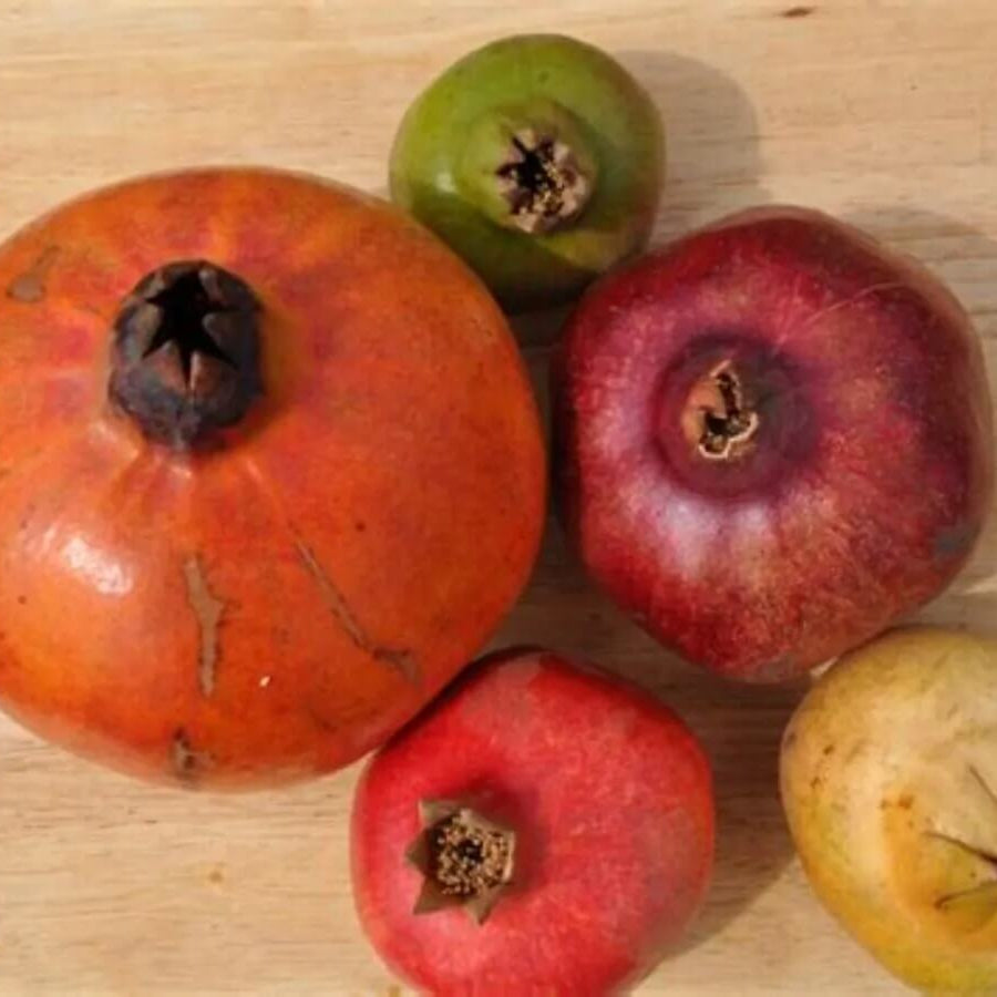 Mixed Pomegranate Seeds