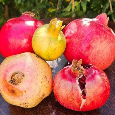 Mixed Pomegranate Seeds