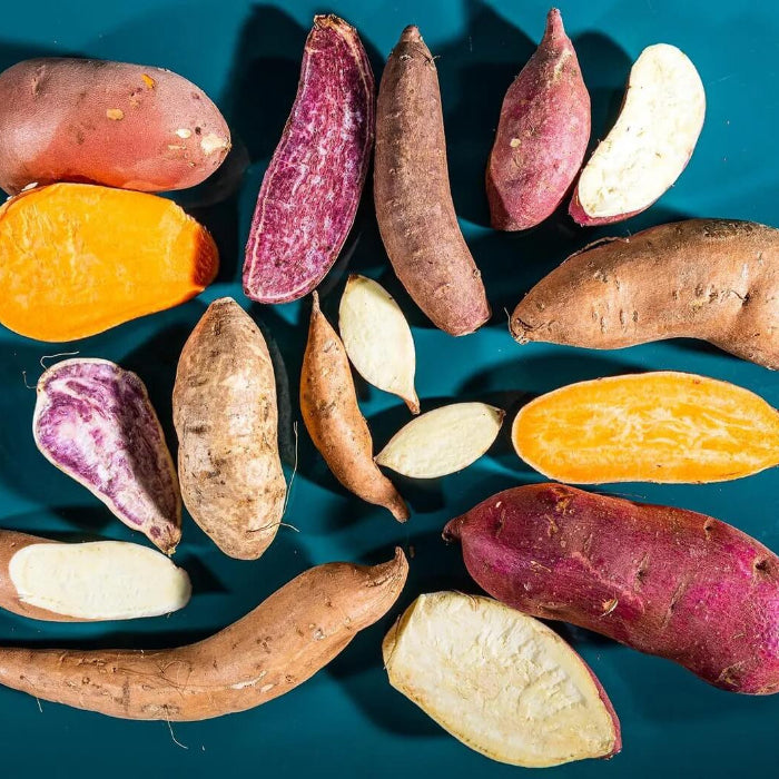 Mixed Sweet Potato Seeds
