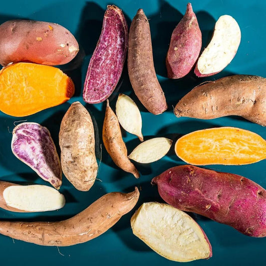 Mixed Sweet Potato Seeds