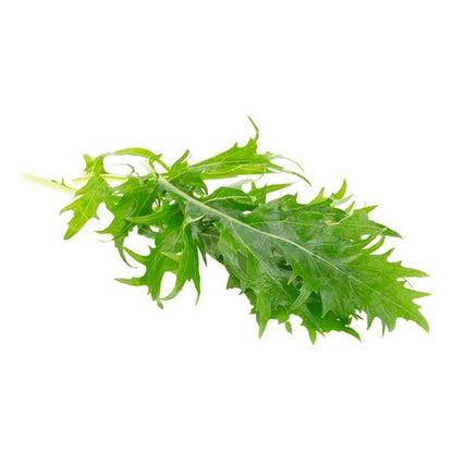 Mizuna Seeds - Vegetable Plant for Home Gardens