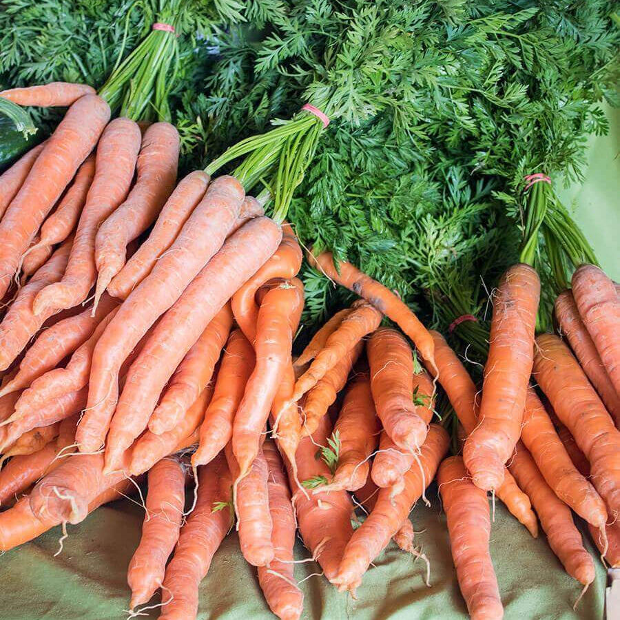 Mokum Carrot Seeds - Heirloom Vegetable Plant for Home Gardens
