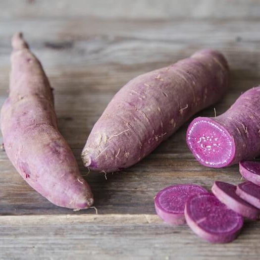 Molokai Purple Sweet Potato Seeds
