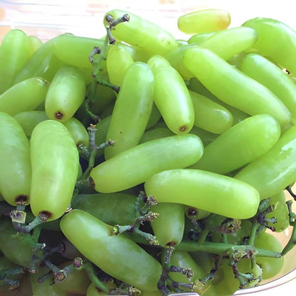 Moon Drop Green Grapes Seeds 
