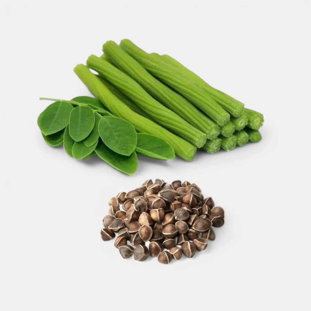 Moringa Seeds