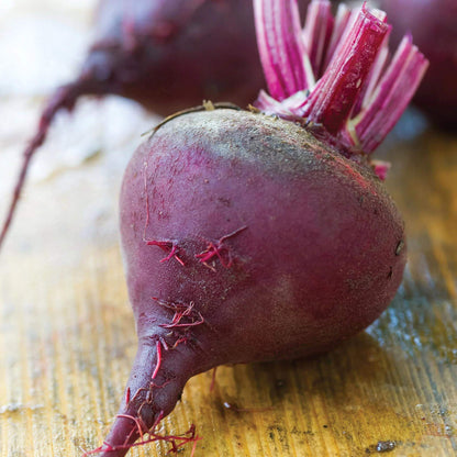 Moulin Rouge Beet Seeds 