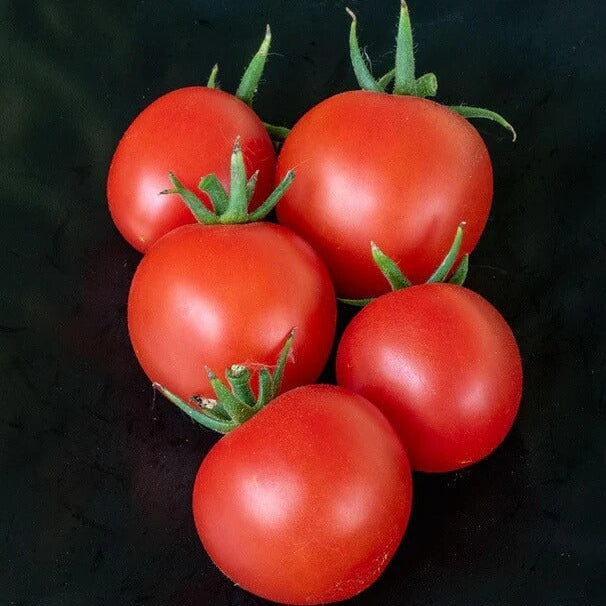 Mountain Magic Tomato Seeds - Vegetable Plant