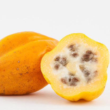 Mountain Papaya Seeds 