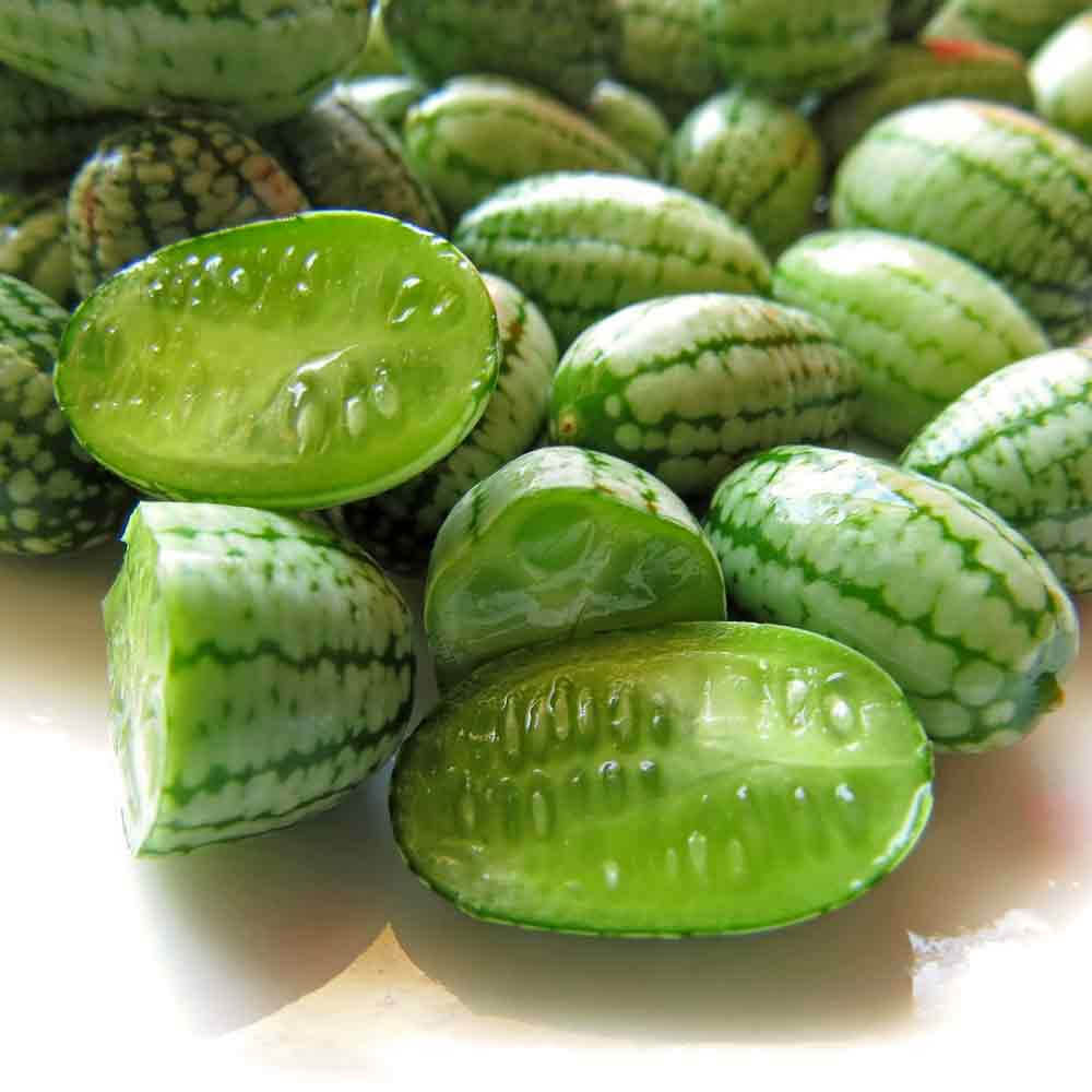 Mouse Melon Seeds