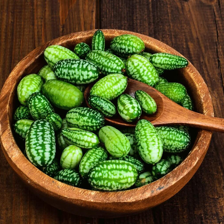 Mouse Melon Seeds