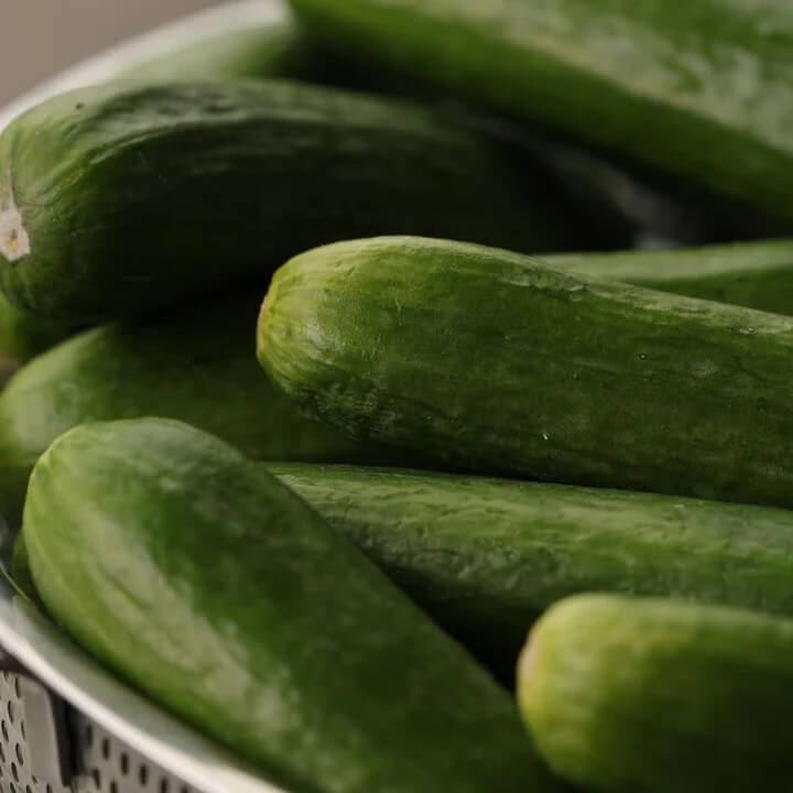 Muncher cucumber seeds - Vegetable Plant