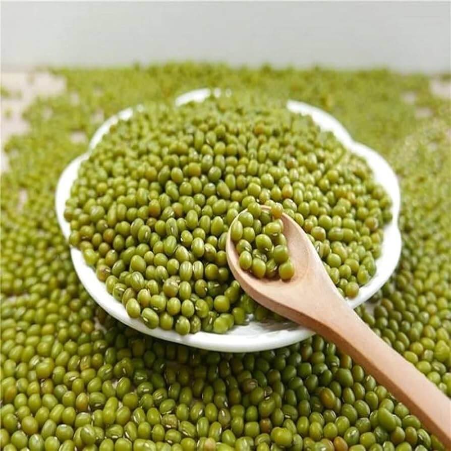 Mung Bean Seeds - Vegetable